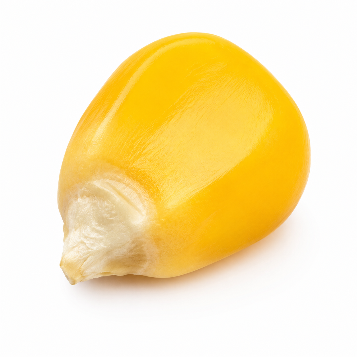 Corn Kernels